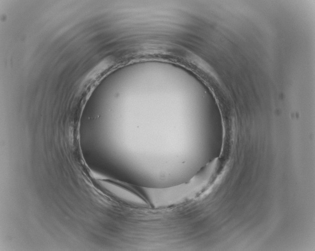 X0000070420777200606302100