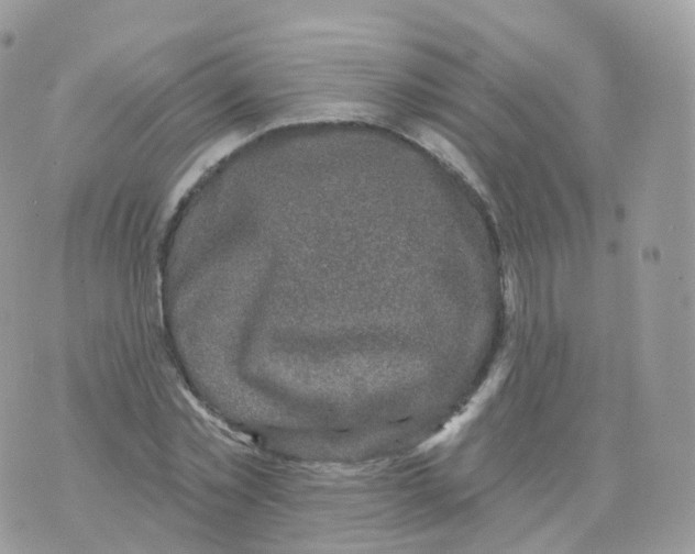 X0000070420781200606302100