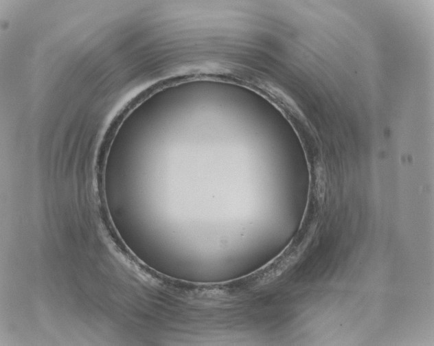 X0000070420784200606302100