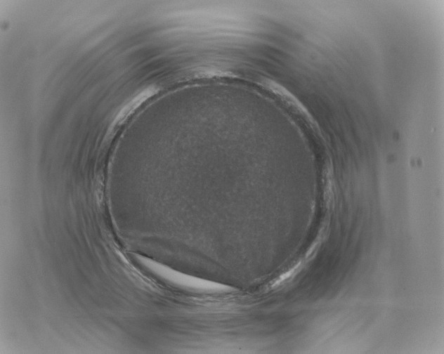 X0000070420785200606302100