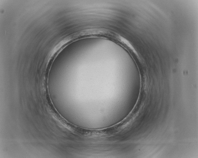 X0000070420786200606302100