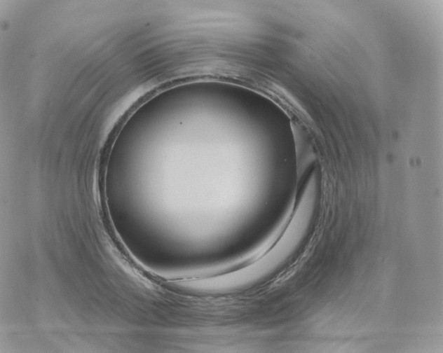 X0000070420788200606302100