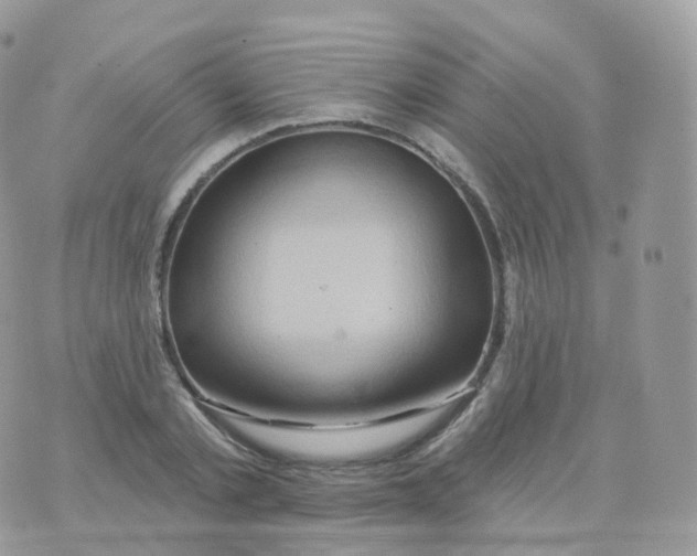 X0000070420789200606302100