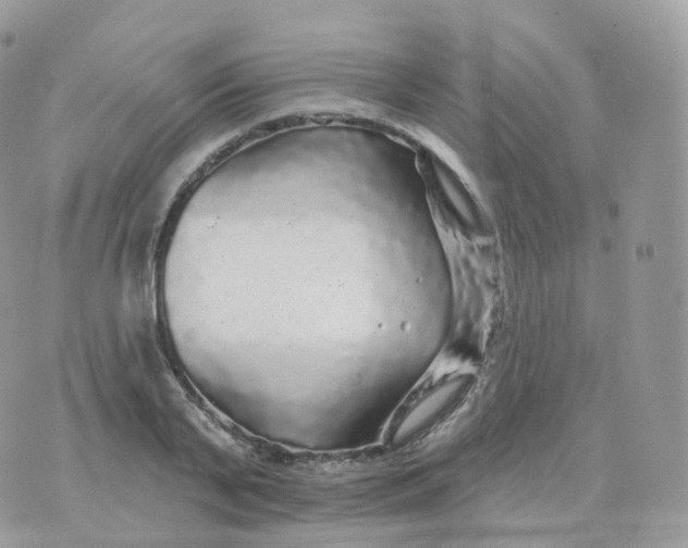 X0000070420791200606302100