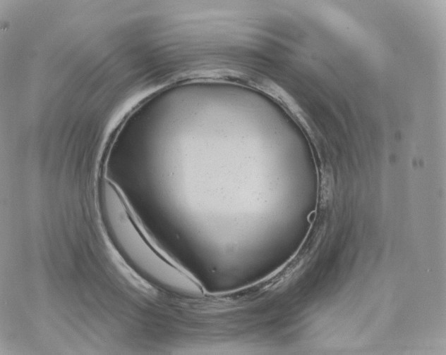 X0000070420795200606302100