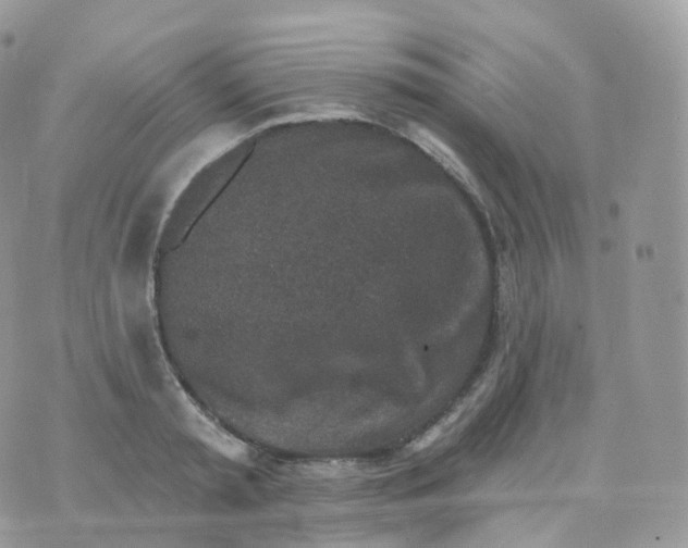 X0000070420797200606302100