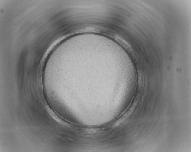 X0000070420800200606302100