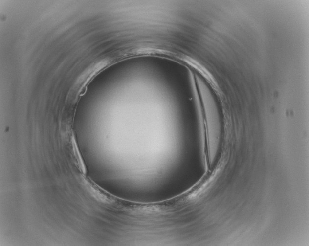 X0000070420801200606302100