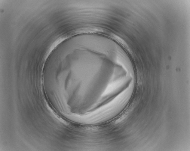 X0000070420802200606302100