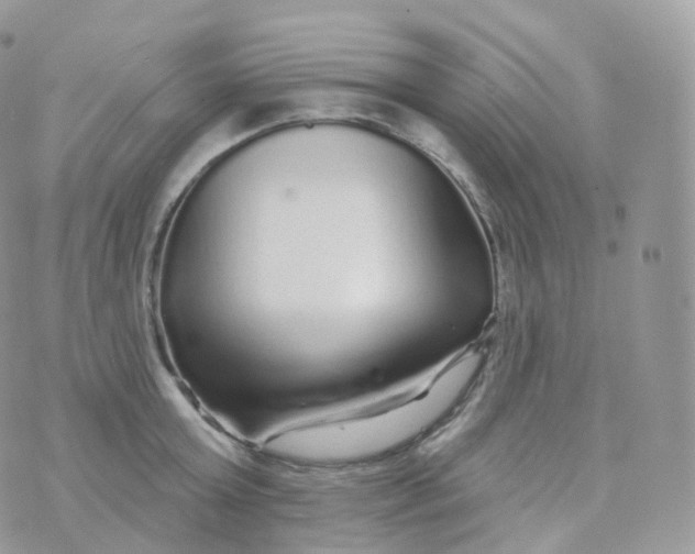 X0000070420803200606302100