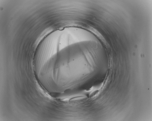 X0000070420806200606302100