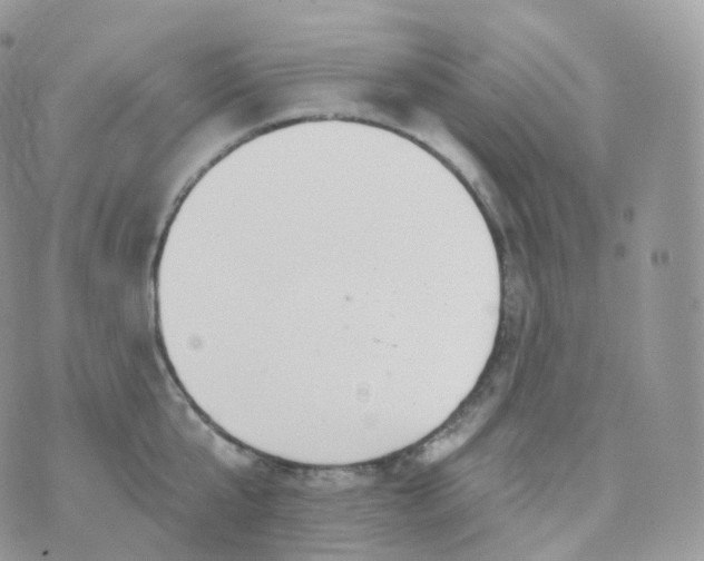 X0000070420807200606302100