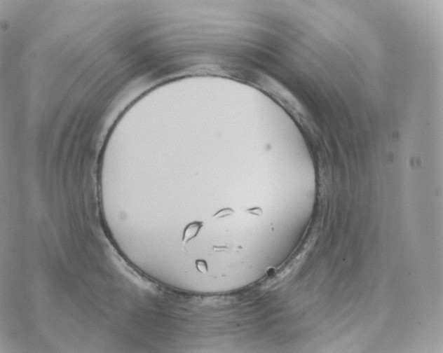 X0000070420808200606302100