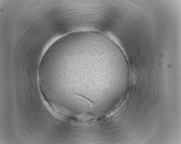 X0000070420811200606302059