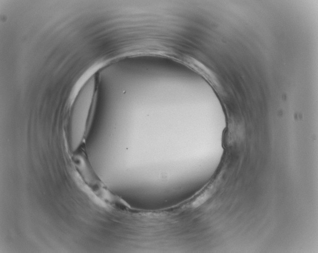 X0000070420812200606302059