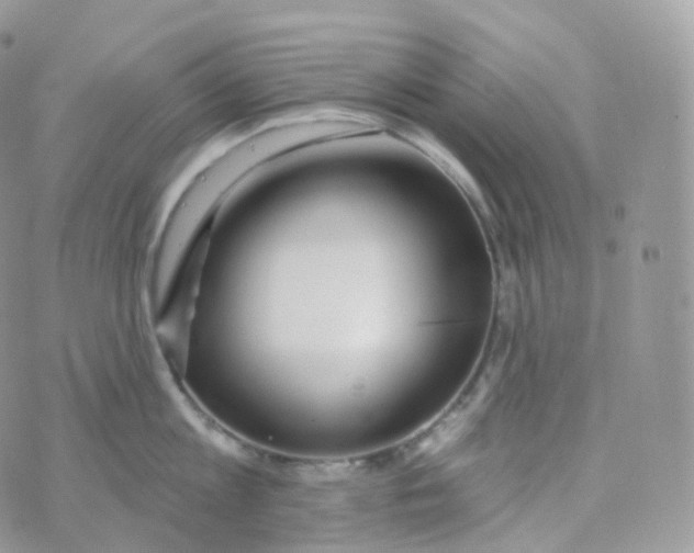 X0000070420813200606302059