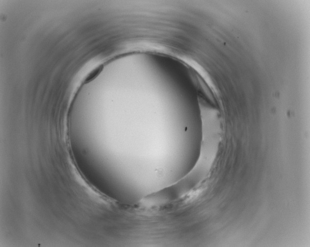 X0000070420815200606302059