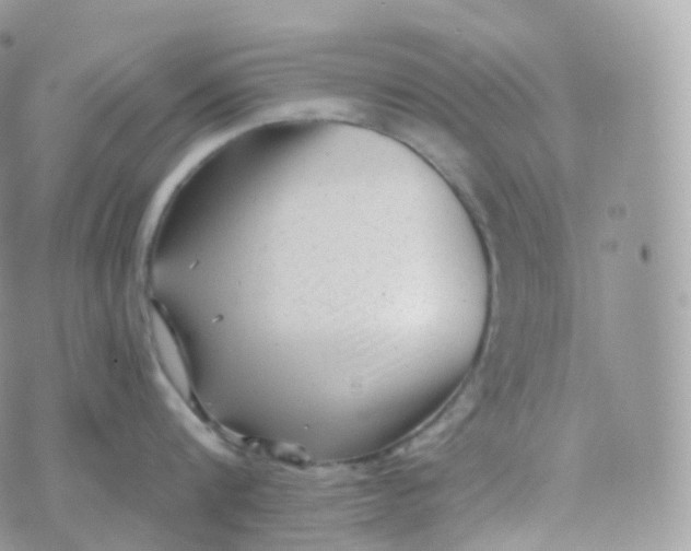 X0000070420816200606302059