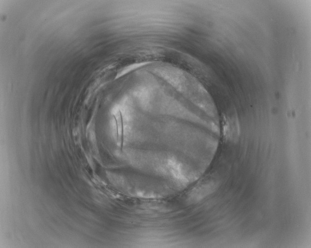 X0000070420819200606302059