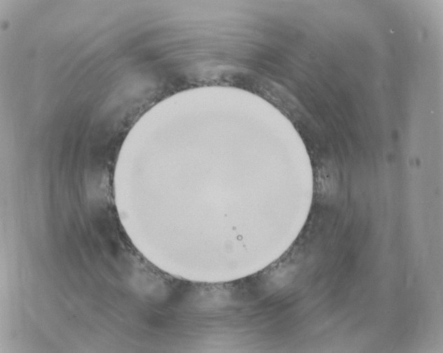 X0000070420820200606302059