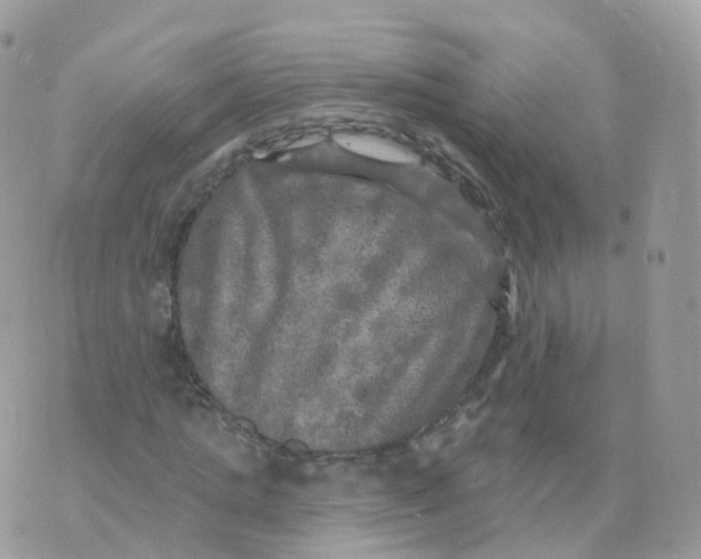 X0000070420821200606302059