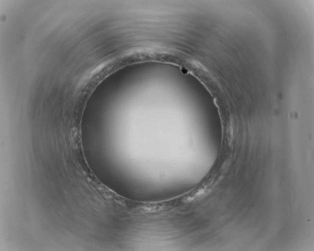 X0000070420822200606302059