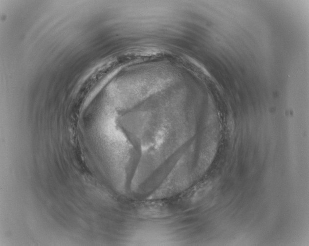 X0000070420823200606302059