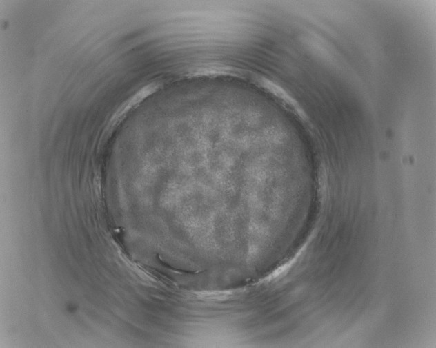 X0000070420825200606302059