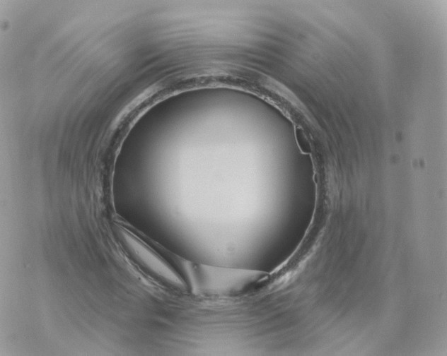 X0000070420826200606302059