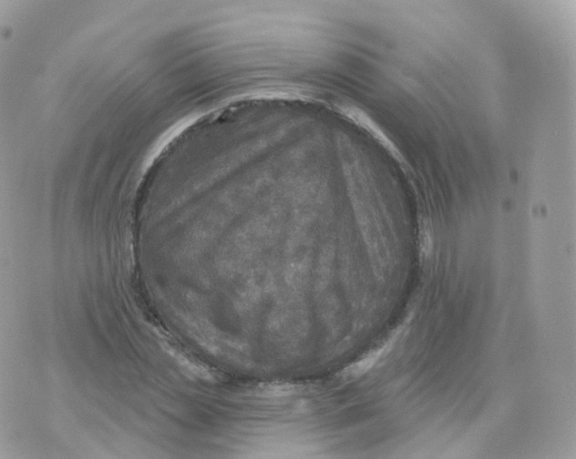 X0000070420829200606302059