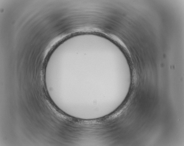 X0000070420831200606302059