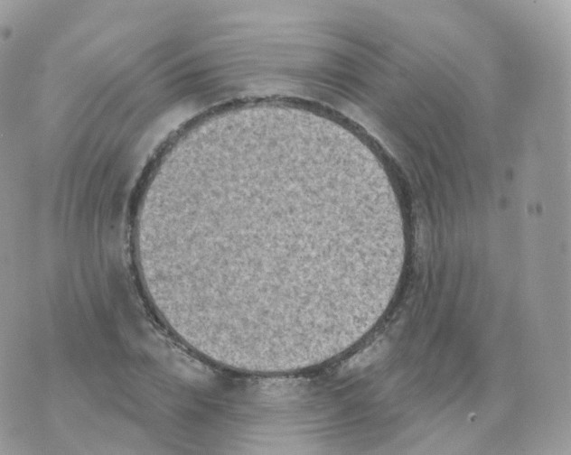 X0000070420832200606302059