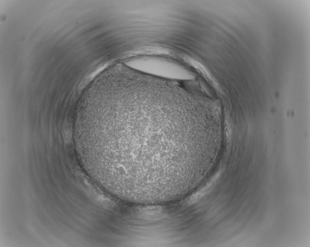 X0000070420833200606302059