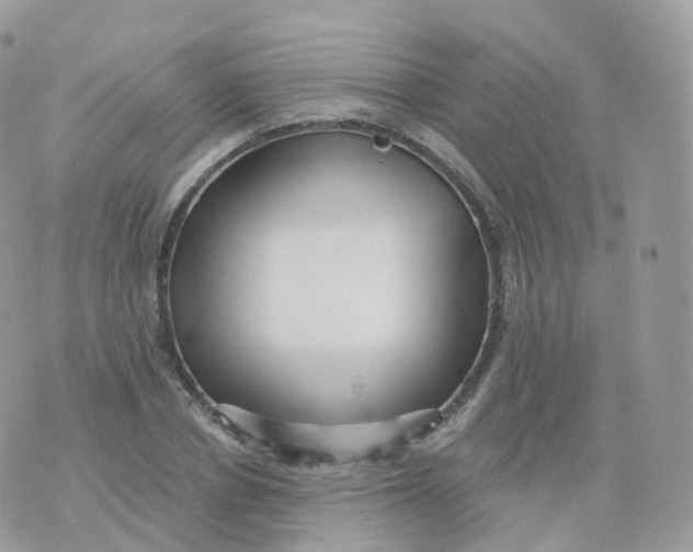 X0000070420834200606302059