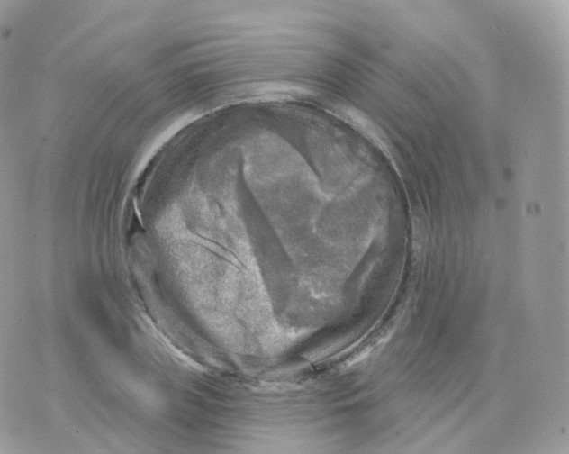 X0000070420835200606302059