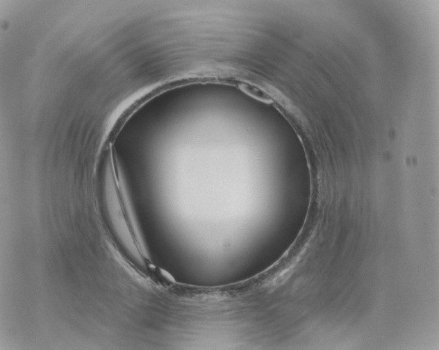 X0000070420838200606302059