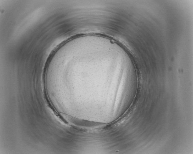 X0000070420840200606302059