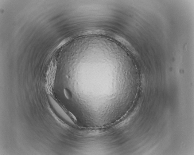 X0000070420841200606302059