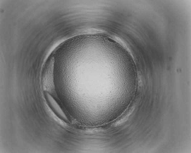 X0000070420843200606302059