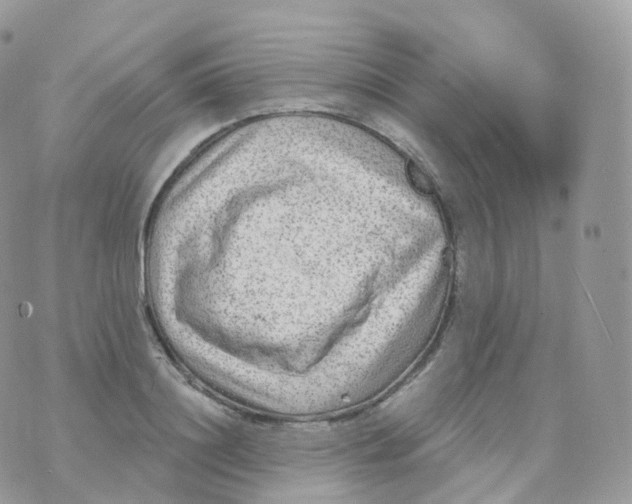 X0000070420844200606302059