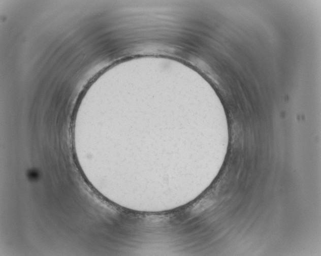 X0000070420848200606302059