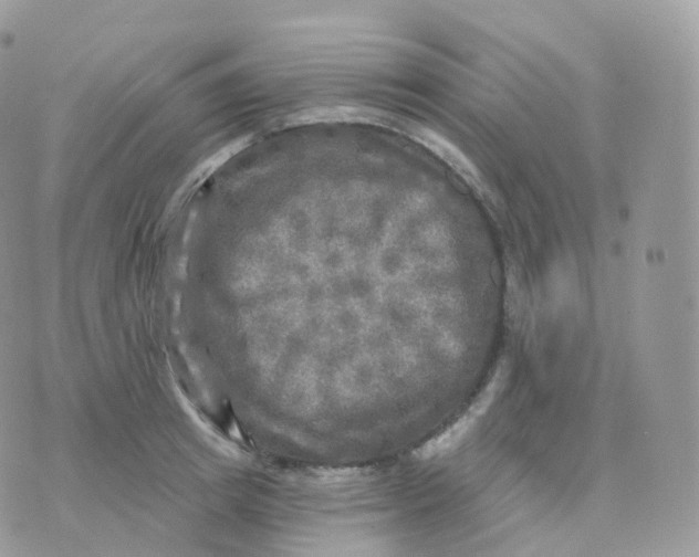 X0000070420849200606302059