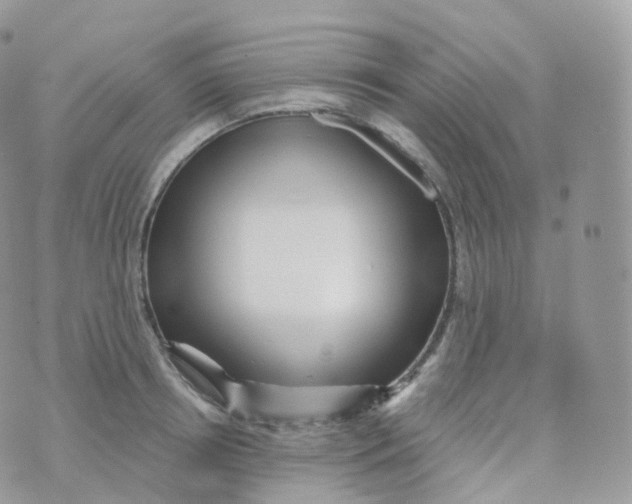 X0000070420850200606302059