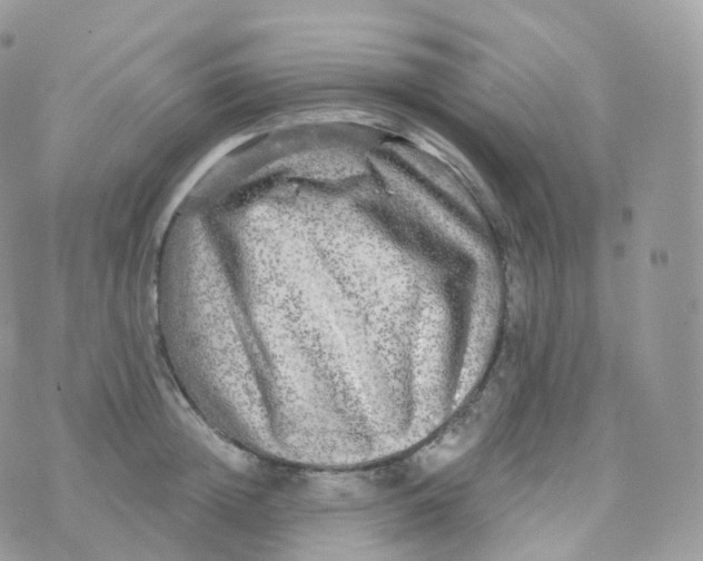 X0000070420852200606302059