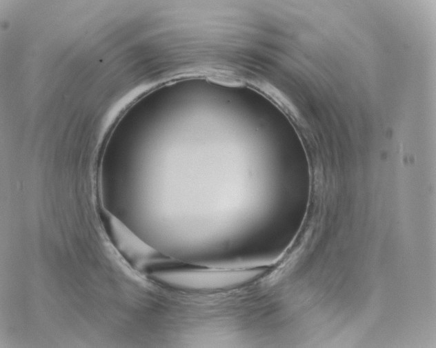 X0000070420854200606302059