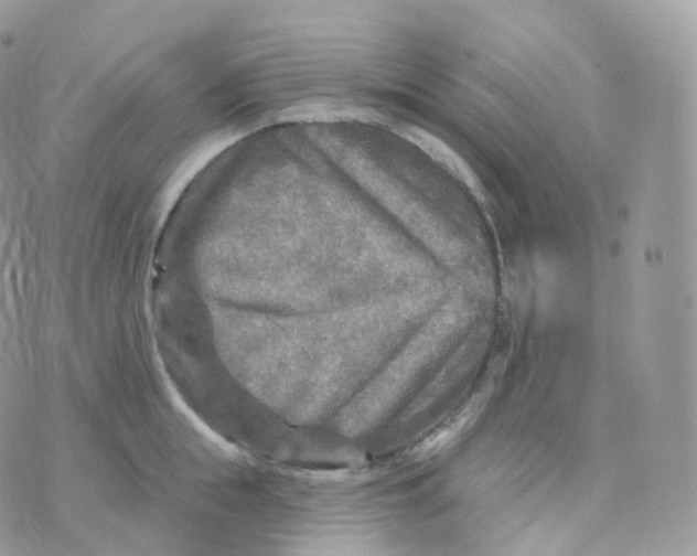 X0000070420855200606302059