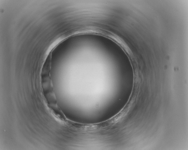 X0000070420858200606302059