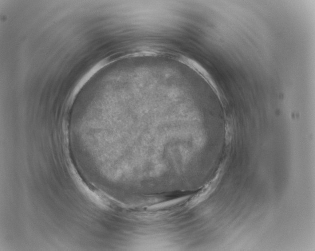 X0000070420859200606302059