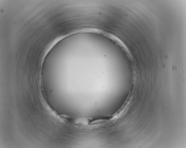 X0000070420860200606302059