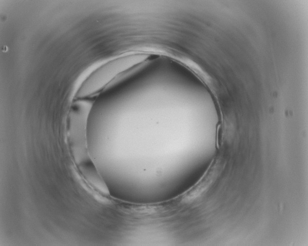 X0000070420862200606302059